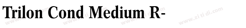 Trilon Cond Medium R字体转换